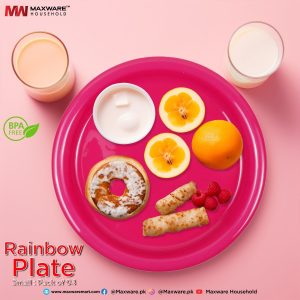 Rainbow Plate Pack of 4